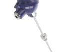 TR10-C-M-160 Temperature Sensor Modules