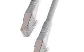21.15.0831 Ethernet Cables / Networking Cables