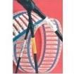 TMS-SCE-1-2.0-0 Wire Labels & Markers