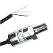 P51-500-S-A-I36-20MA-000-000 