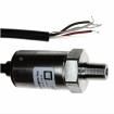 P51-50-G-B-I36-4.5V-000-000 