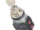 W0-NEF30-B X3Y Pushbutton Switches