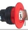HW1B-X4R Switch Actuators