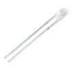 WP937EGW Standard LEDs - Through Hole
