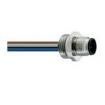 RSFM 8/0,5 M Sensor Cables / Actuator Cables