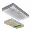 SML-LXFP0603SIC-TR  Optoelectronics