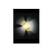 SML813WBC8W1 Standard LEDs - SMD