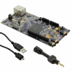 SK-FM4-176L-S6E2CC-VOI electronic component of Infineon