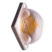 XHP50A-00-0000-0D0BJ40DV High Power LEDs - White
