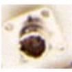 MS27499E14F5S-LC  Connectors