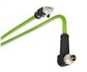 142M2XA5020  Wire & Cable
