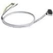 2901607  Wire & Cable