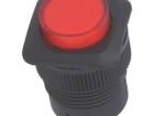R13-508A-05-BR Pushbutton Switches