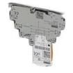 2906809  Circuit Protection