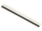 SL 11 124 36 G  Connectors