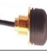 TANGO28/0.1M/IPEX/S/S/35 Antennas