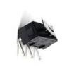 DG13-B2LA Basic / Snap Action Switches