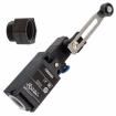 D4N-4B2GR-NPT Basic / Snap Action Switches
