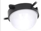 HC-F24V-F100-12L-WS2811 MILKY WHITE  Optoelectronics