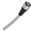 XS5FD421G80A  Wire & Cable