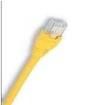 2961-10Y  Wire & Cable