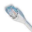 2965-5  Wire & Cable