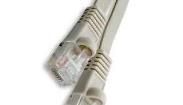 2966-0.3F Ethernet Cables / Networking Cables