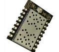 LAMBDA80C-24D Sub-GHz Modules