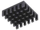 ICKBGA21X21  Thermal Management