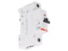 2CDS251001R0204  Circuit Protection