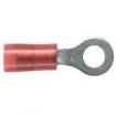 PN18-6R Thermostats