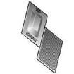 MIMX8MD6CVAHZAA Microprocessors - MPU