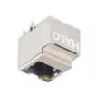 HFJV1-E2450-L12RL  Connectors