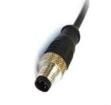 PXPPVC12FIM03ACL010PVC Sensor Cables / Actuator Cables