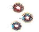 HCTI-27-15.6 Fixed Inductors