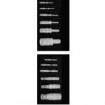 CT12-12P Circular MIL Spec Connector