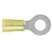 PN10-38R Terminals