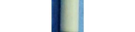 0659P1000-13 Cartridge Fuses