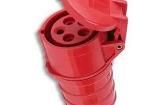 312001 Cartridge Fuses