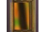 CMV2000-3E12M1CA Image Sensors