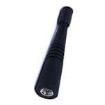 WXC2400SM Antennas