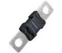 AMG-300 Automotive Fuses