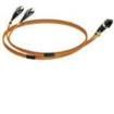 2989271  Wire & Cable
