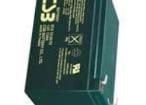 EVX12120F2 Sealed Lead Acid Battery