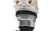9001KS43FB Keylock Switches