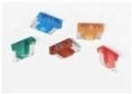 0891015.NXWS  Circuit Protection