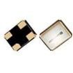 FW520WFMT1  Passive Components