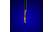 85003 BK005 Multi-Conductor Cables