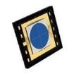 QP50-6-SM Photodiodes