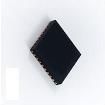 WM8904CGEFL/RV Interface - CODECs
